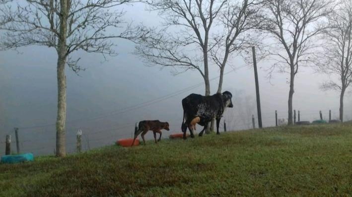 Celeiro Verde Guararema Dış mekan fotoğraf